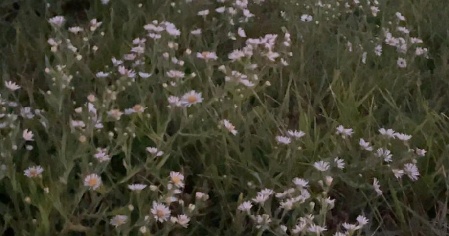 Picture taken in Butler County