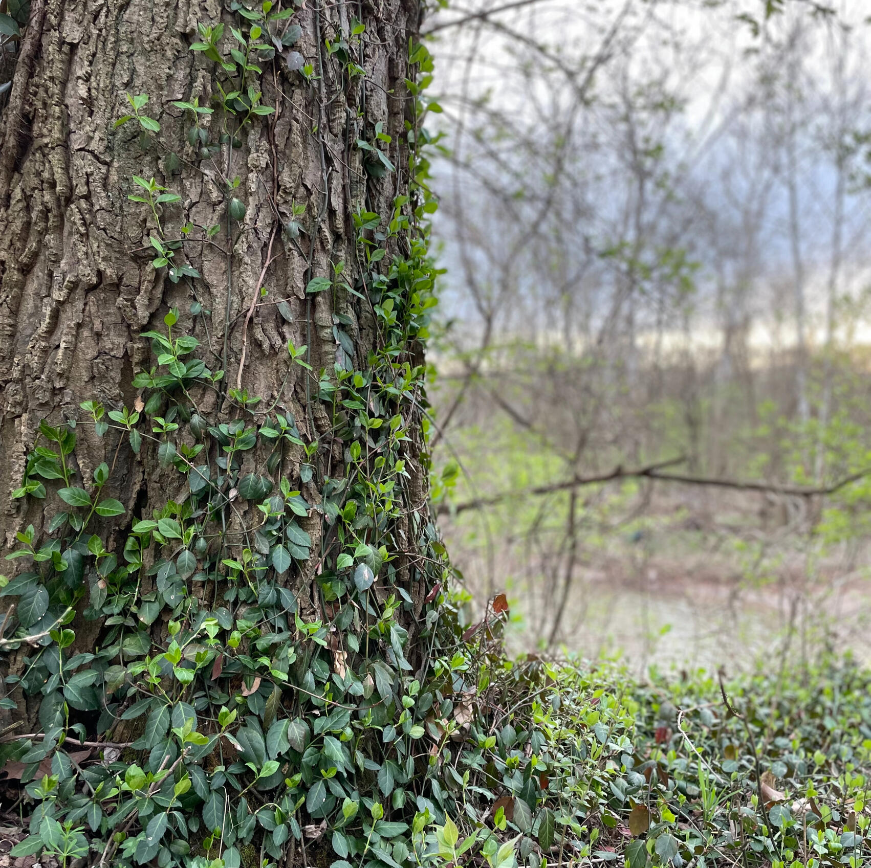 Picture taken in Butler County